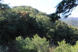 肥前 勝尾城の写真