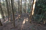 肥前 勝尾城の写真