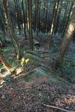 肥前 勝尾城の写真
