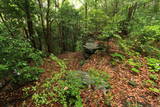 肥前 小峰城(川棚町)の写真