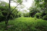 肥前 小峰城(川棚町)の写真
