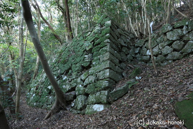 肥前 岸岳城の写真