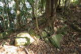 肥前 岸岳城の写真