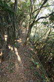肥前 岸岳城の写真