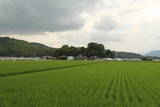 肥前 杵島城の写真