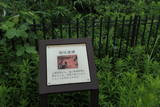 肥前 神浦城の写真