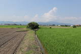 肥前 前牟田城の写真