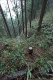 肥前 舞岳城の写真