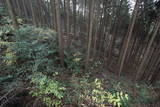 肥前 舞岳城の写真