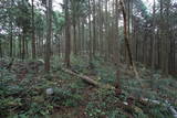 肥前 舞岳城の写真
