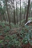 肥前 舞岳城の写真