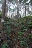 肥前 舞岳城の写真