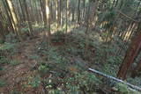 肥前 舞岳城の写真