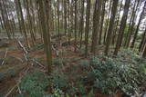 肥前 舞岳城の写真