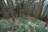肥前 舞岳城の写真