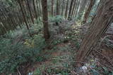 肥前 舞岳城の写真