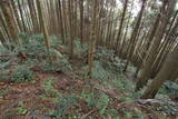 肥前 舞岳城の写真