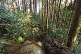 肥前 舞岳城の写真