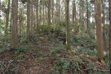 肥前 舞岳城の写真