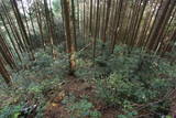 肥前 舞岳城の写真