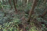 肥前 舞岳城の写真