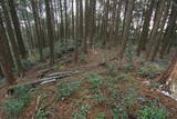 肥前 舞岳城の写真