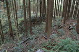 肥前 舞岳城の写真