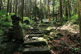 肥前 松岳城の写真