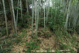 肥前 松園屋敷の写真