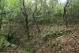 肥前 箕坪城の写真