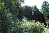 肥前 三瀬城の写真