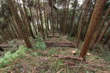 肥前 宮浦城の写真