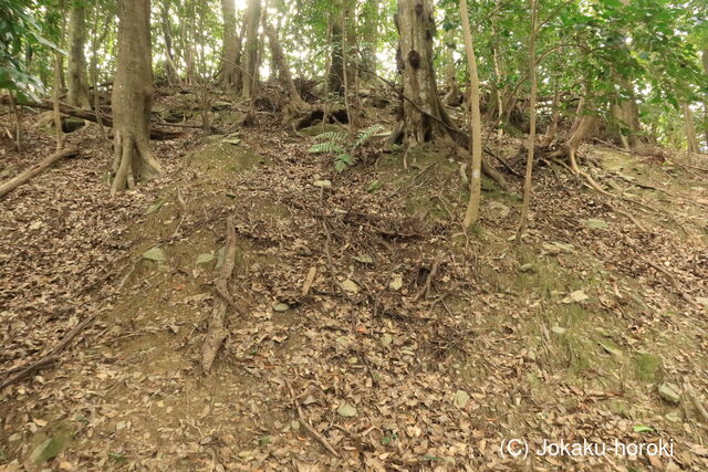 肥前 茂木秋葉山砦の写真