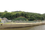 肥前 茂木秋葉山砦の写真