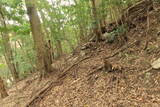 肥前 茂木秋葉山砦の写真