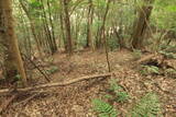 肥前 茂木秋葉山砦の写真