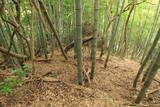 肥前 茂木秋葉山砦の写真