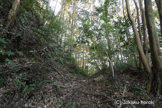 肥前 両岩城の写真