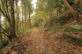 肥前 武留路山城の写真