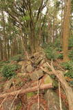 肥前 武留路山城の写真