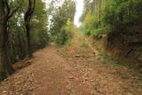 肥前 武留路山城の写真