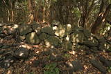 肥前 島津義弘陣の写真