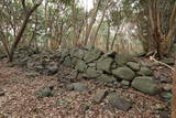 肥前 島津義弘陣の写真