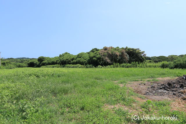 肥前 宇都宮国綱陣の写真