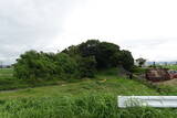 中野城写真