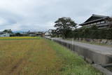 肥前 中津隈城の写真
