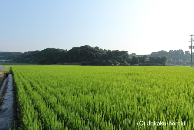 肥前 岡城の写真