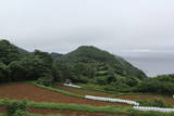 肥前 大島城の写真