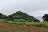 肥前 大島城の写真