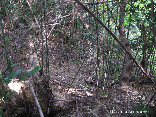 肥前 小野城の写真